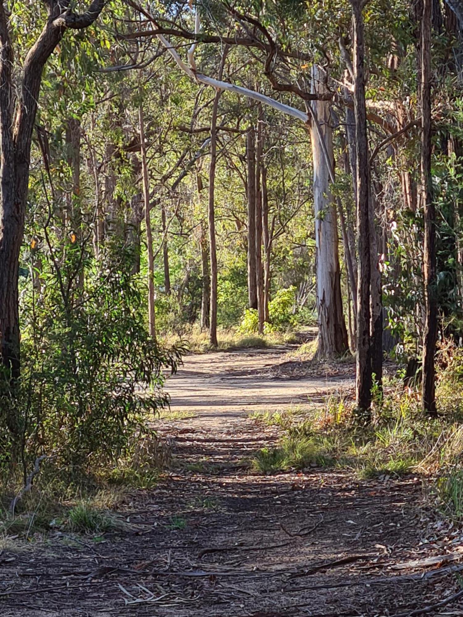 Mallacoota'S Shady Gully Caravan Park Exterior foto